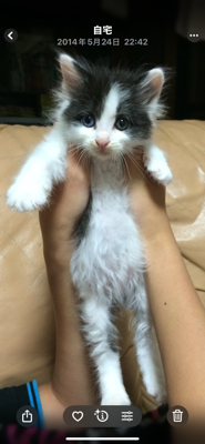 shop-makiアイコン