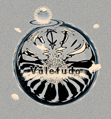 Valetudoアイコン