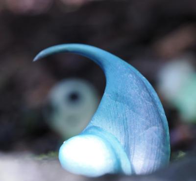 ​フォトグラフィック・デザイン「琥珀堂」アイコン